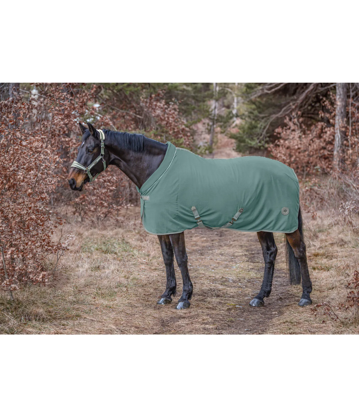 Chemise séchante polaire Life Cycle