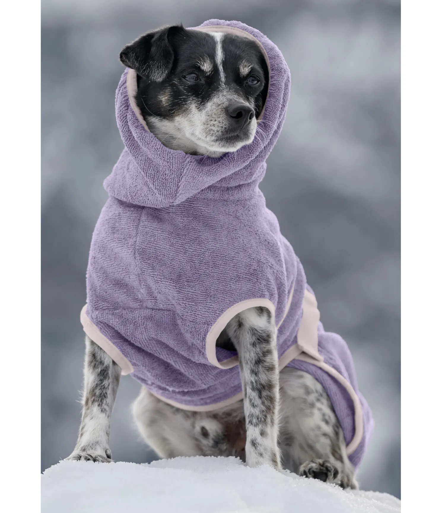 Chemise séchante pour chien Dry Dog II