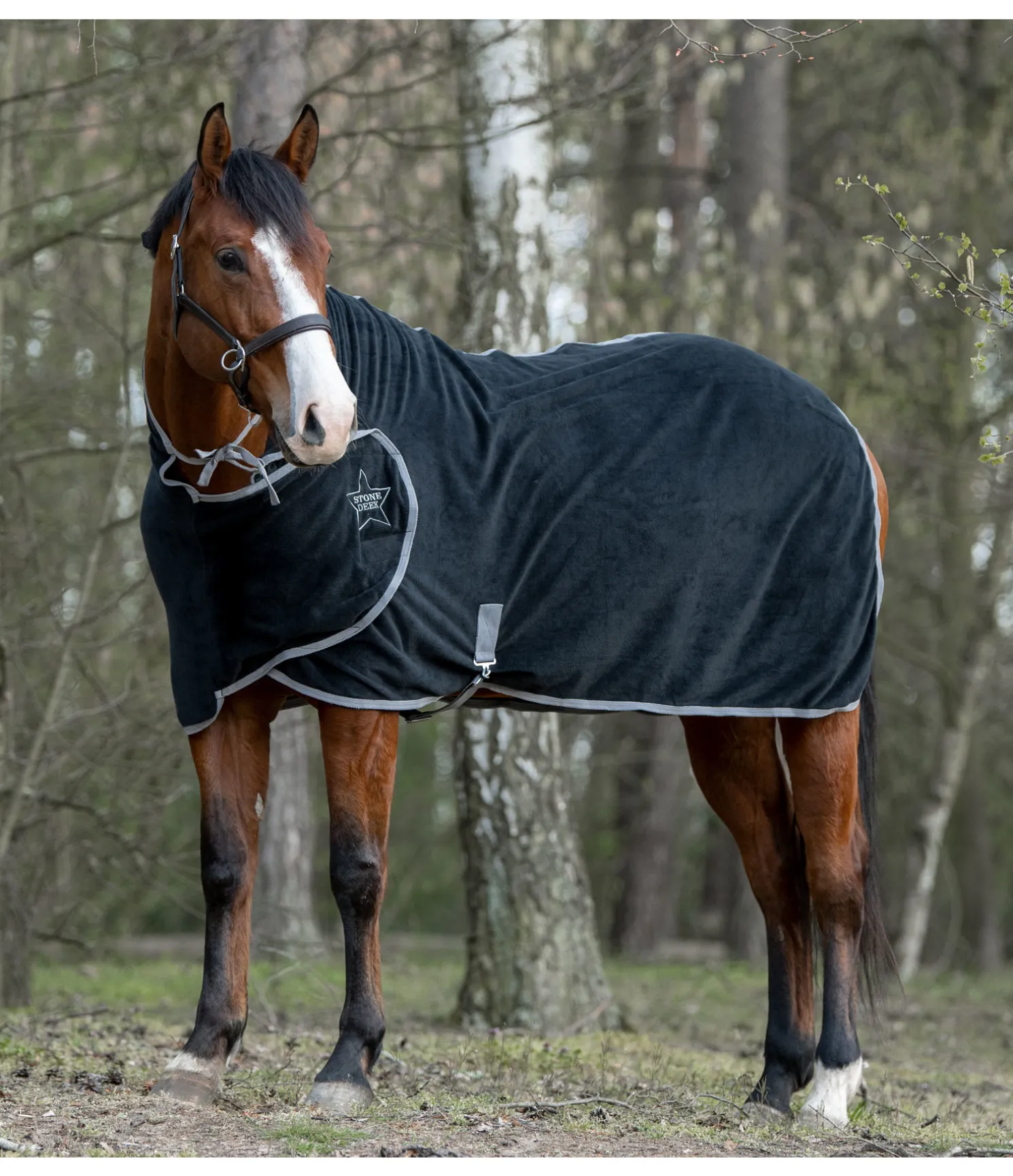 Chemise séchante Stella