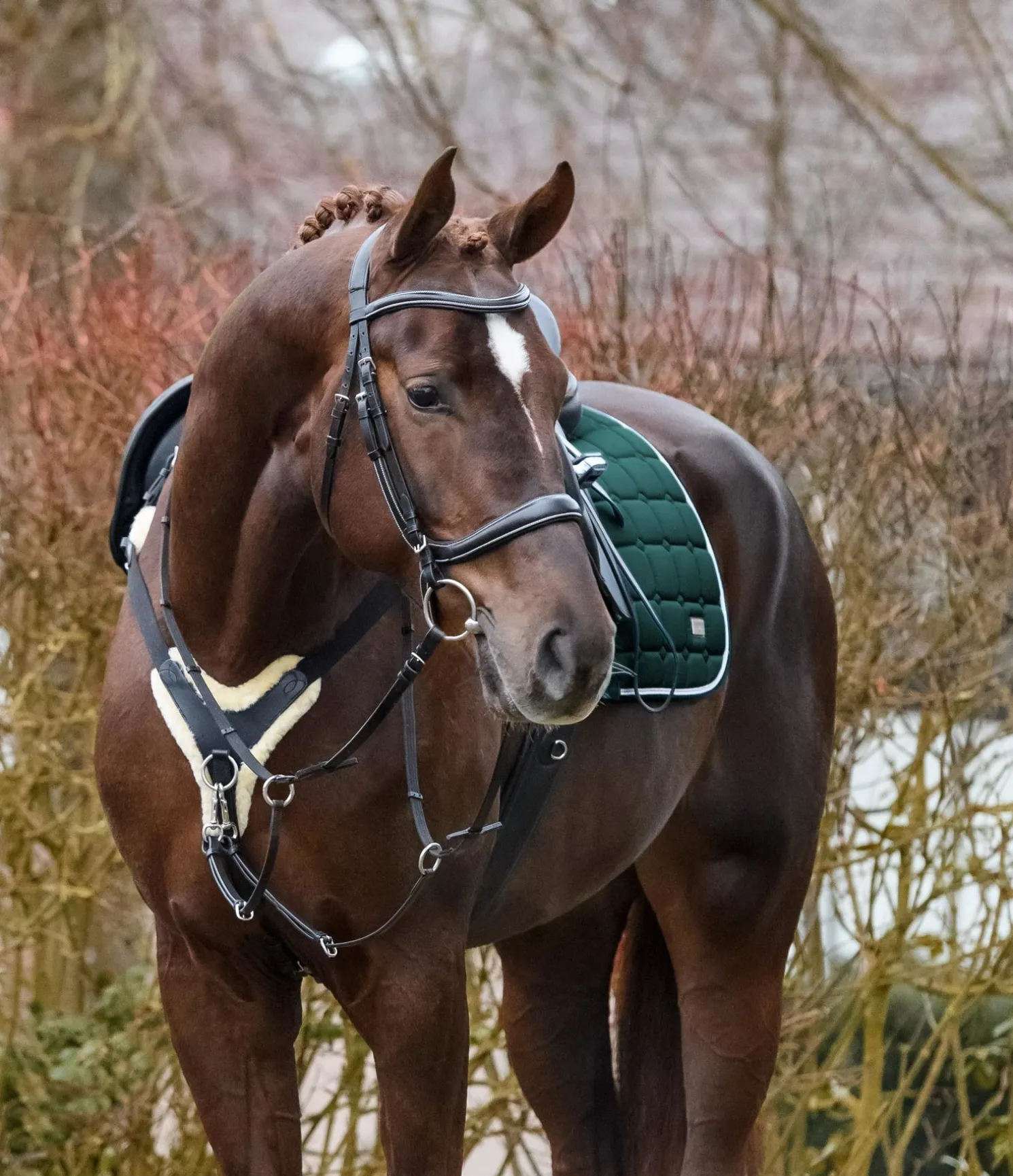 Collier de chasse avec véritable fourrure d'agneau Soft & Comfort