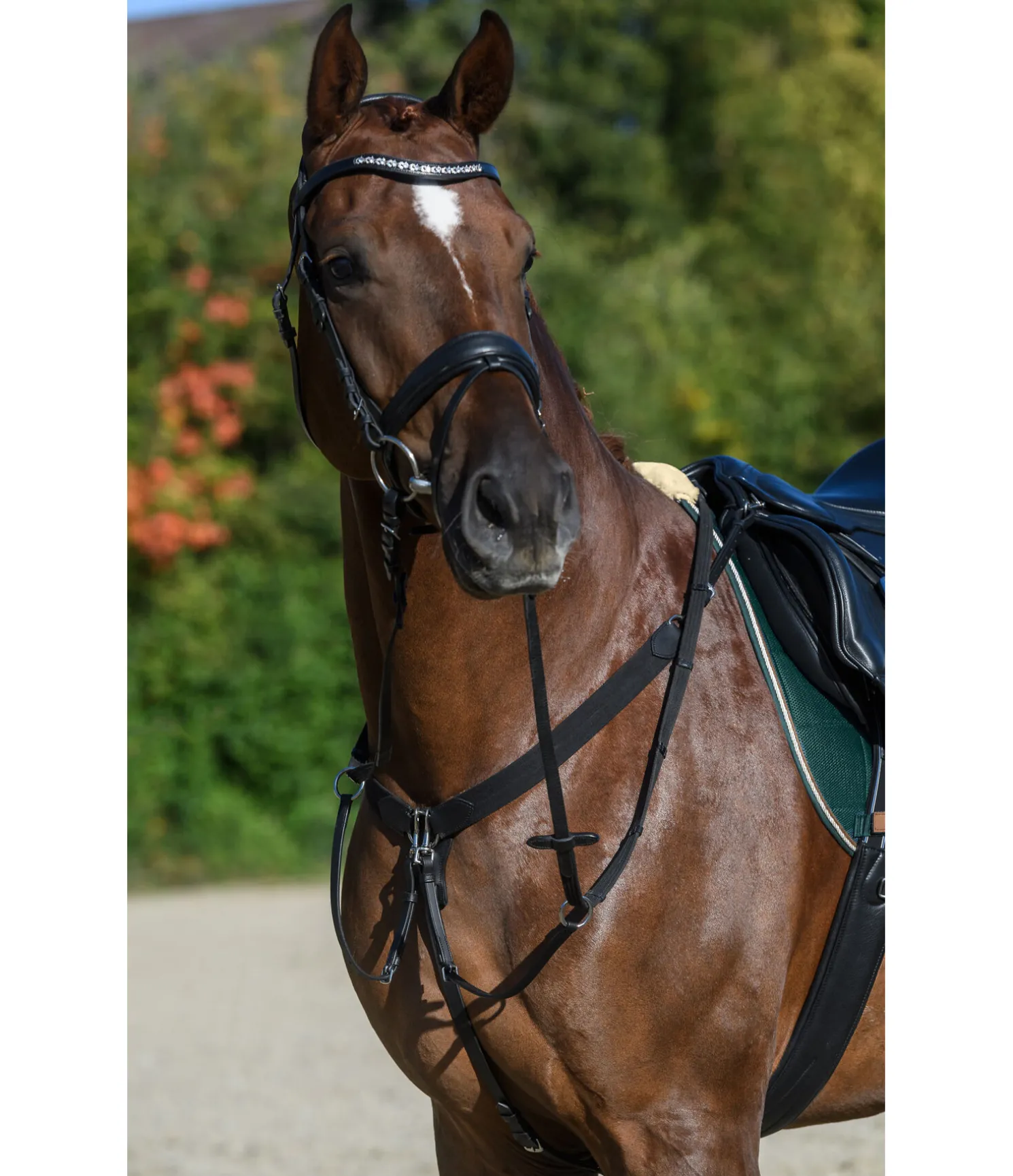Collier de chasse en cuir gras Elastic Professional