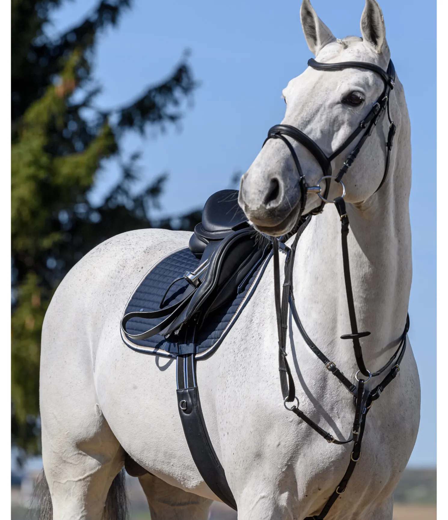 Collier de chasse élastique Parcours