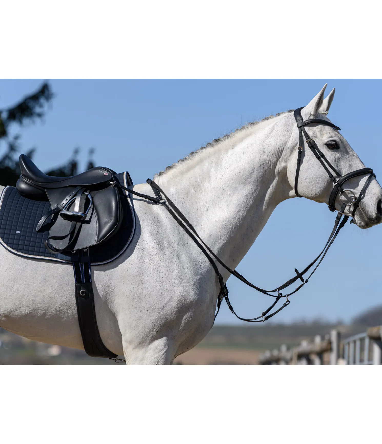 Collier de chasse élastique Parcours