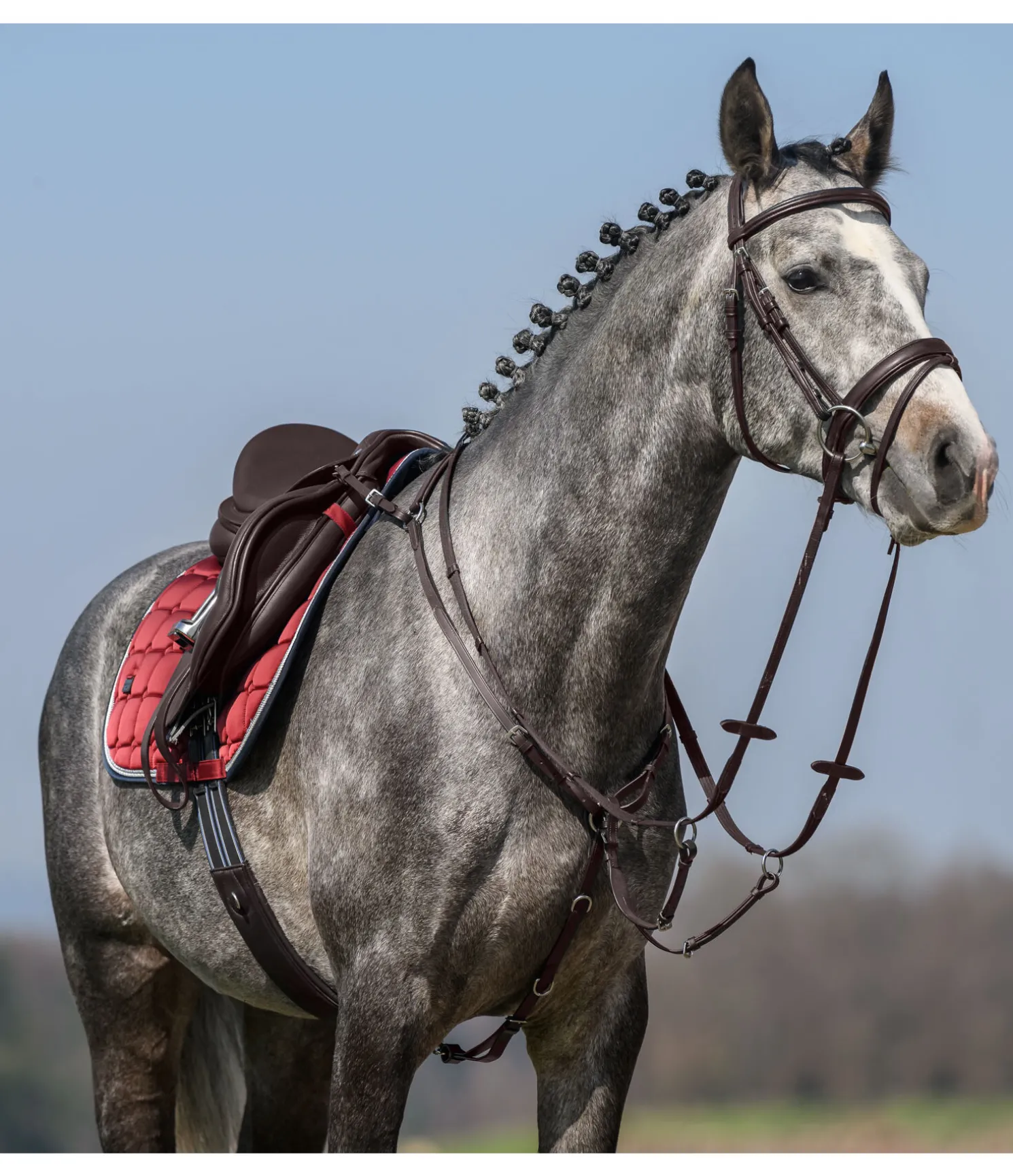 Collier de chasse élastique Parcours