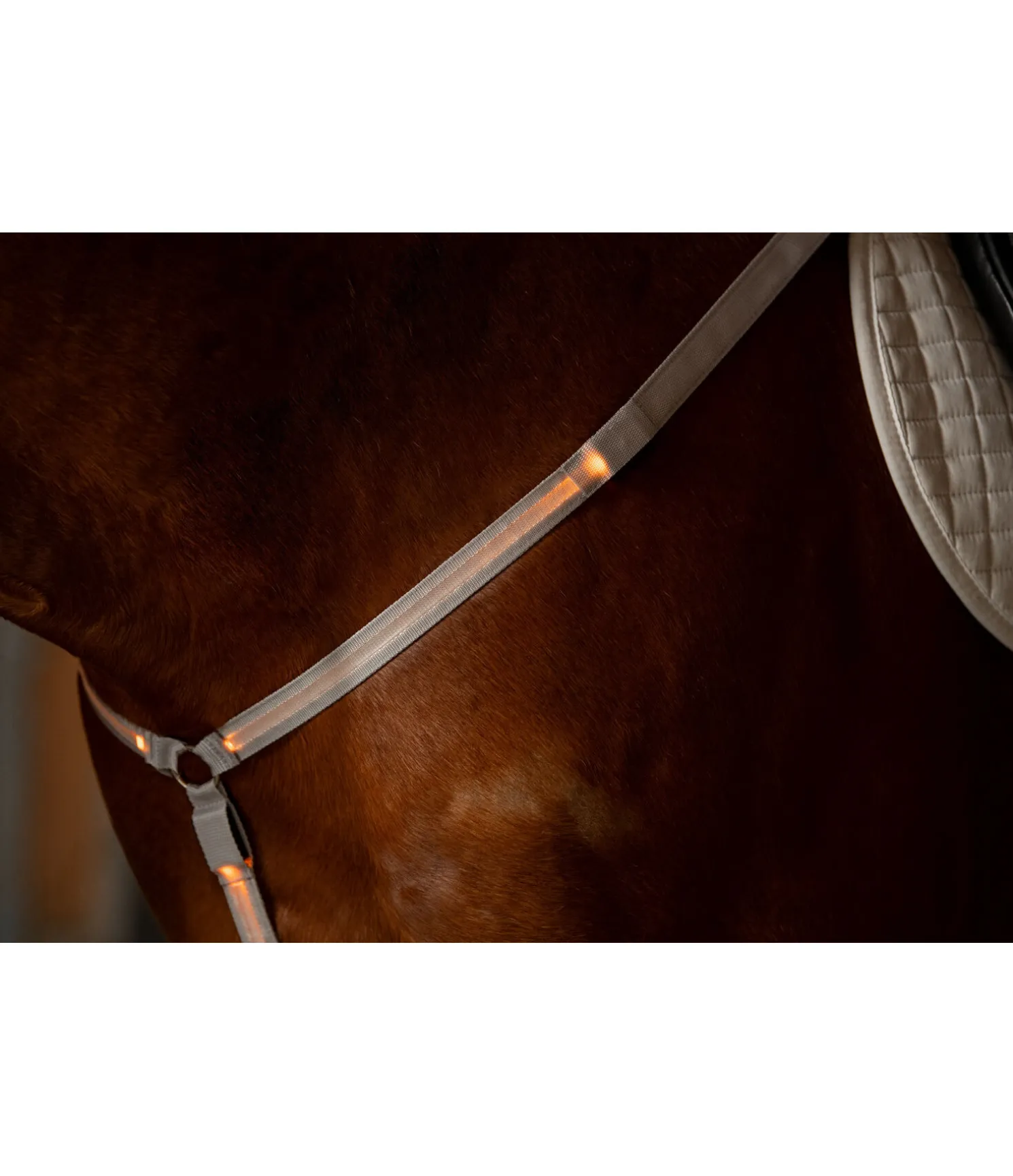 Collier de chasse LED Loom