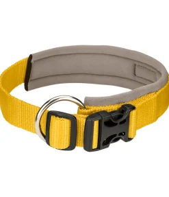 Collier pour chien Becks