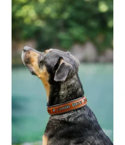 Collier pour chien en cuir Good Dog