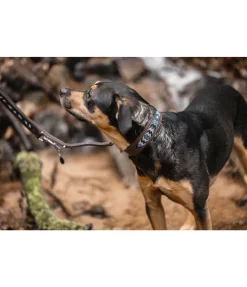 Collier pour chien en cuir Nashville