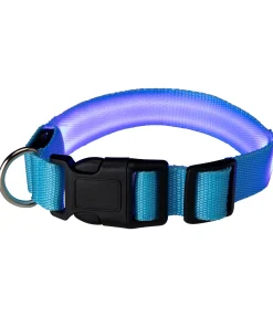 Collier pour chien LED Sugar Dog Loom