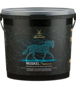 Complément premium musculature