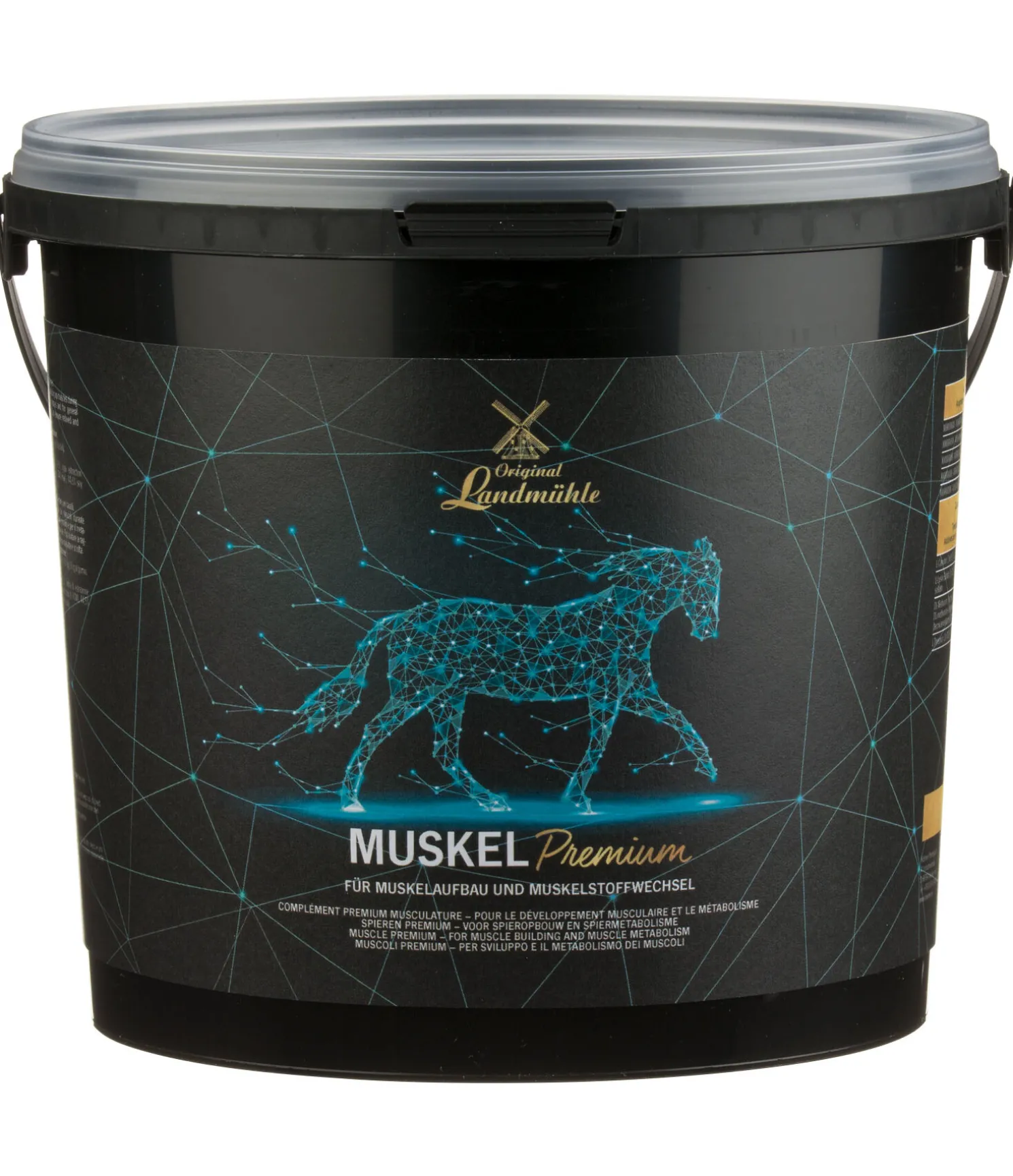 Complément premium musculature