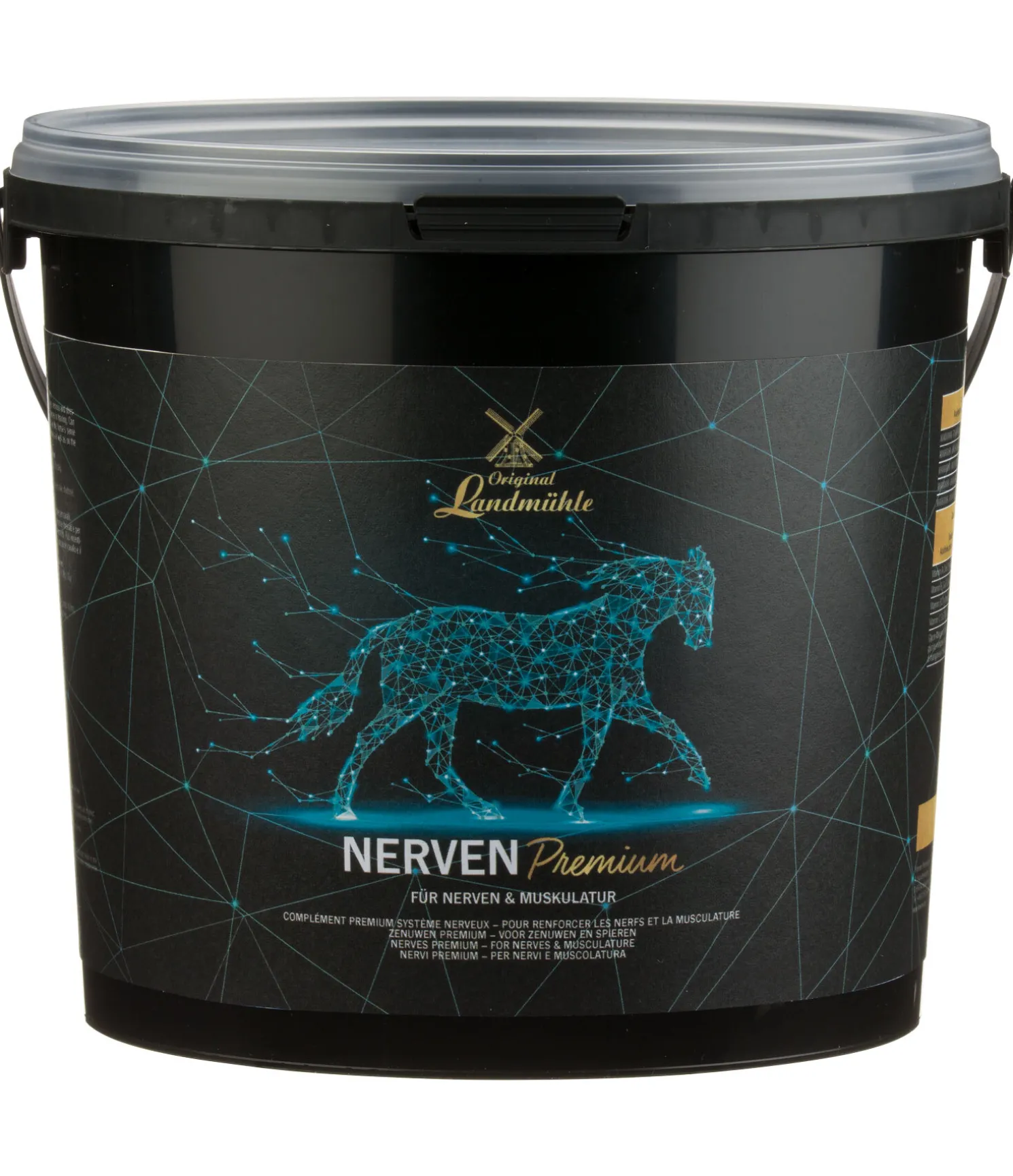 Complément premium Système nerveux