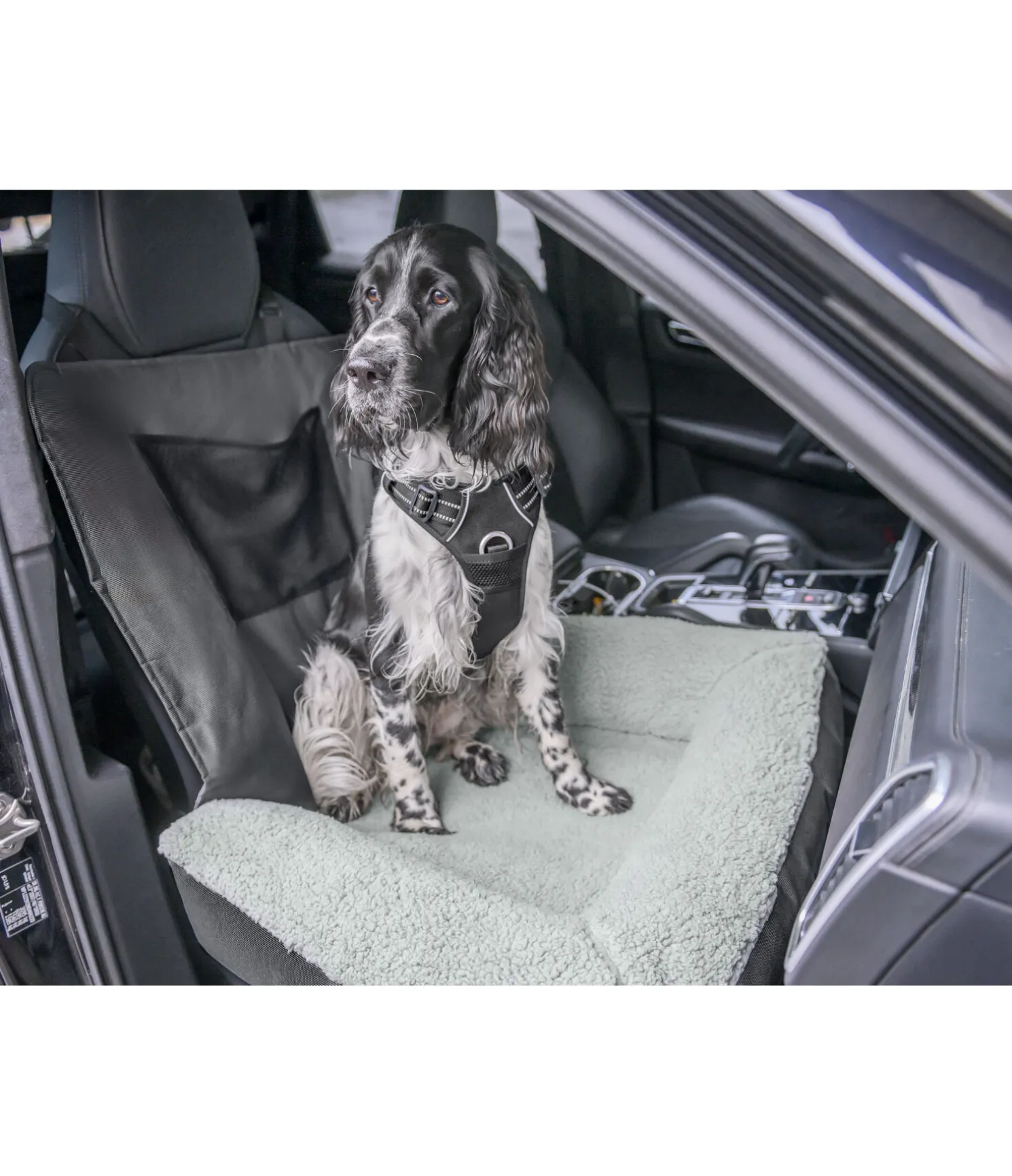 Coussin siège-auto pour chien Maine