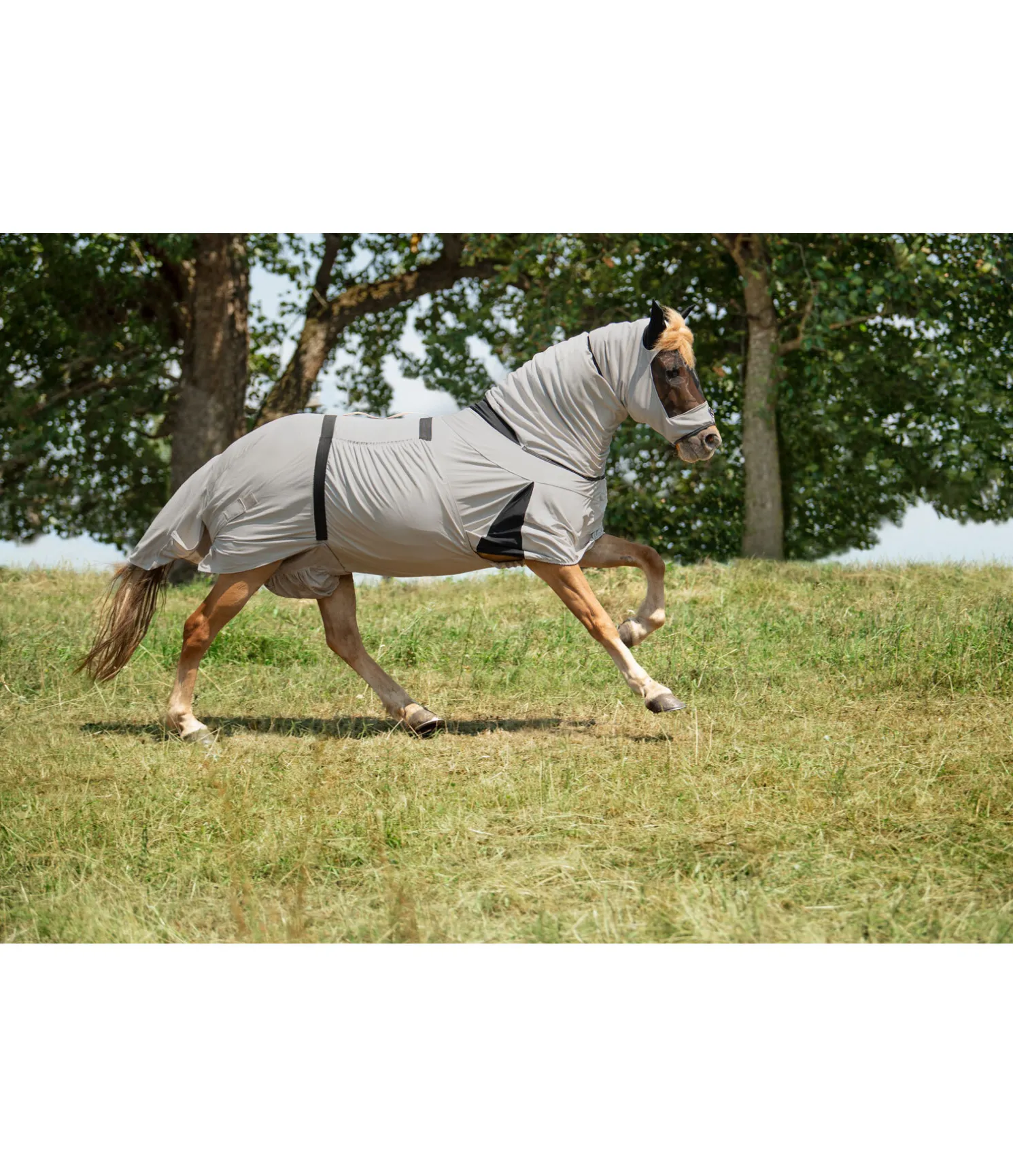 Couverture anti-eczéma pour chevaux islandais