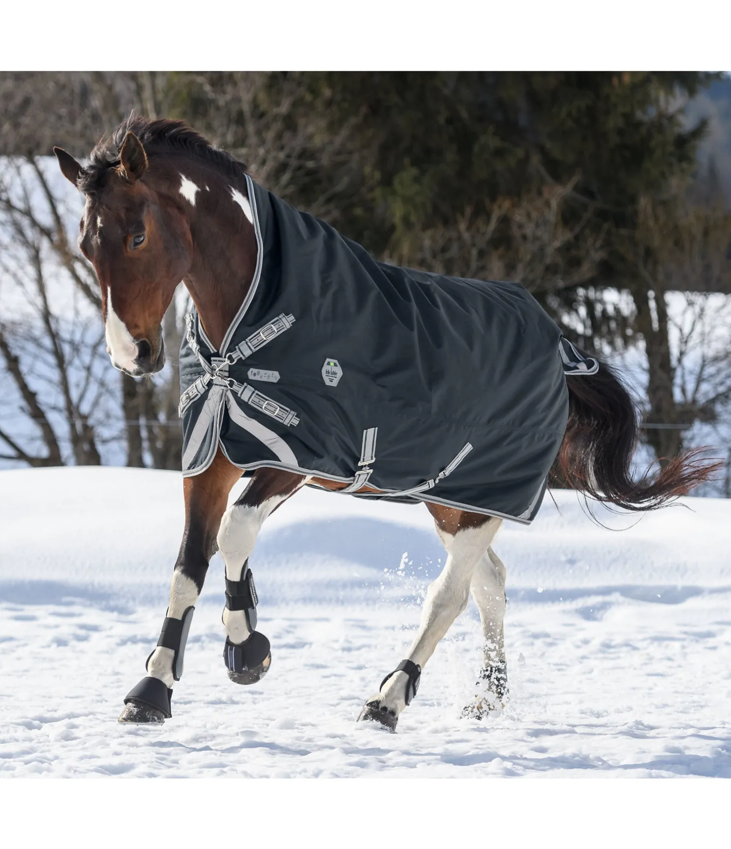 Couverture d'extérieur Highneck Paddock Reflective, 200 g