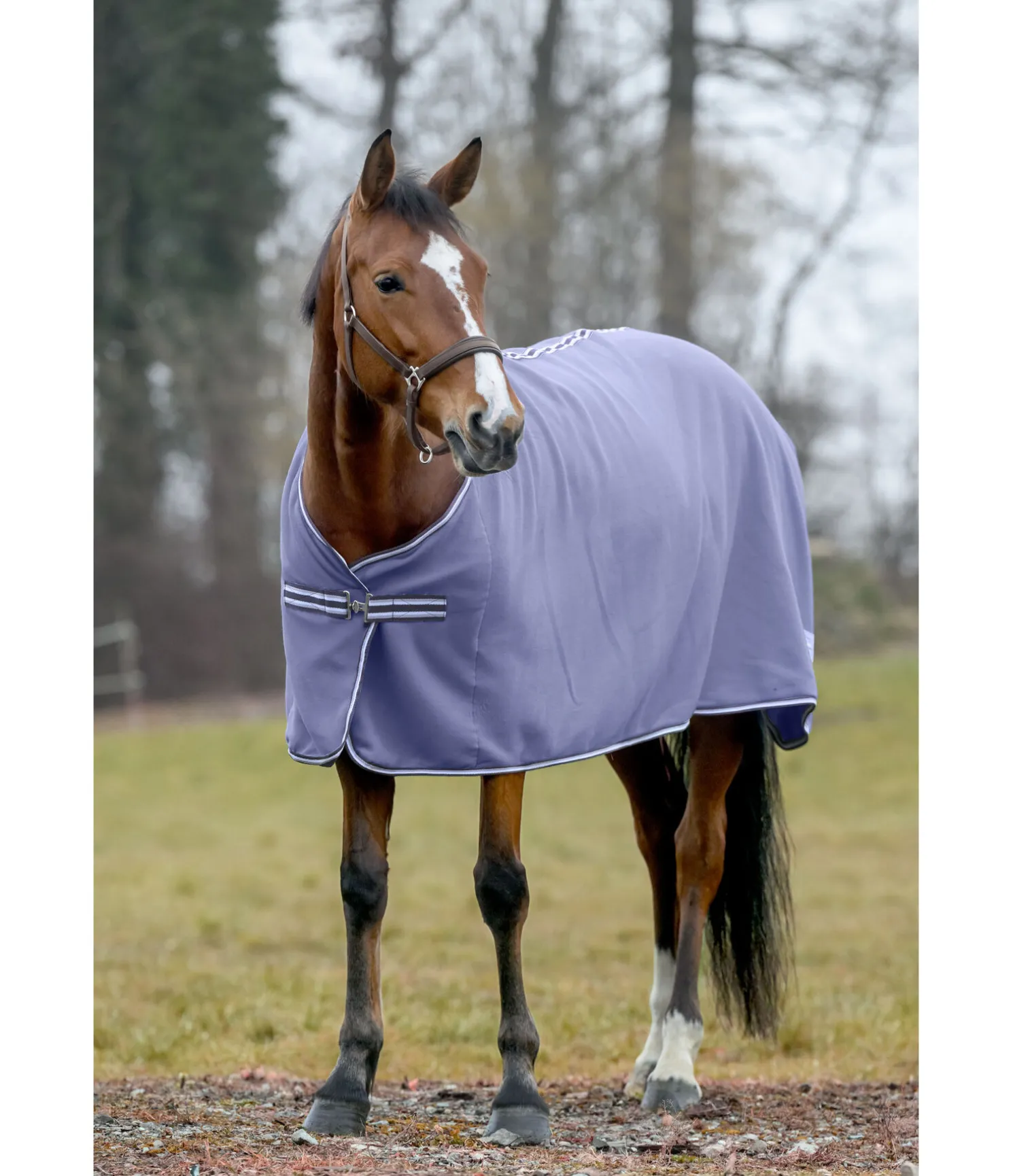 Couverture polaire Economic