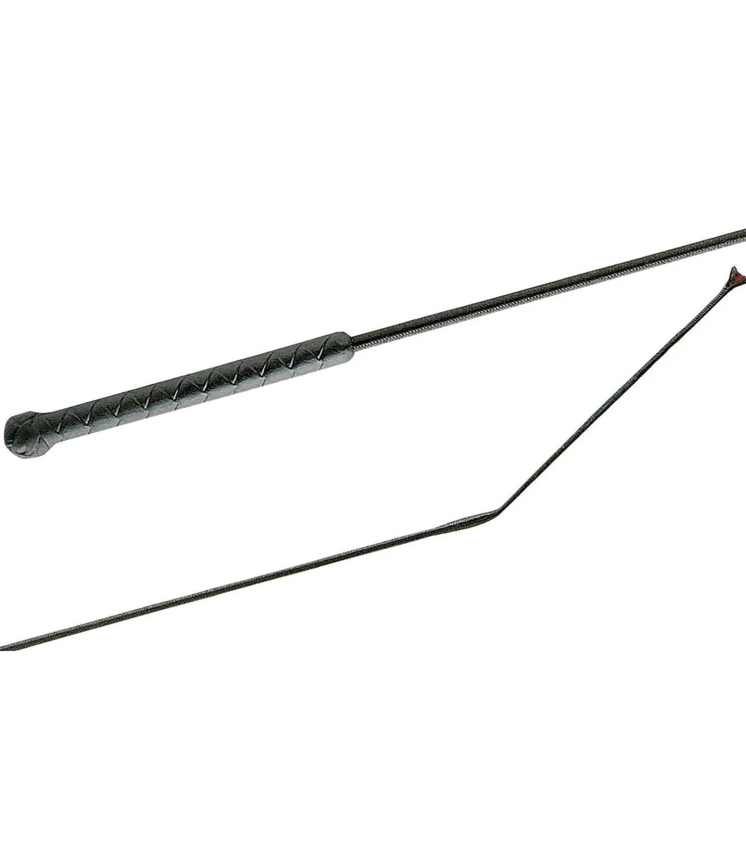 Cravache Precise