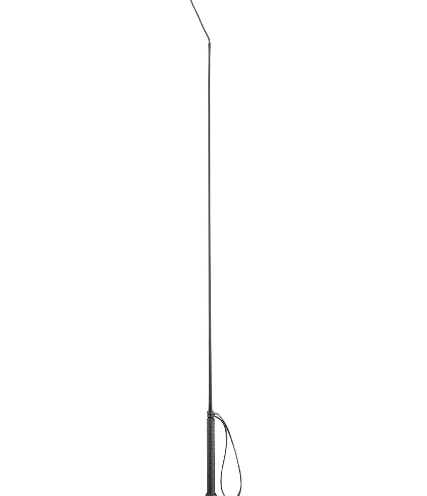 Cravache Precise