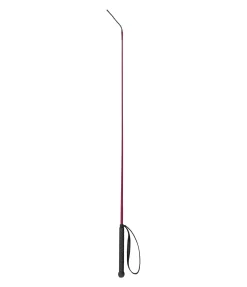Cravache Precise