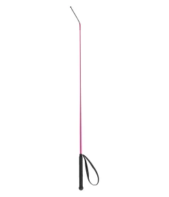Cravache Precise
