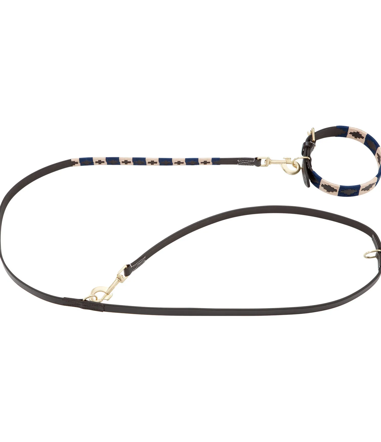 Ensemble collier et laisse en cuir pour chien Polo Sports