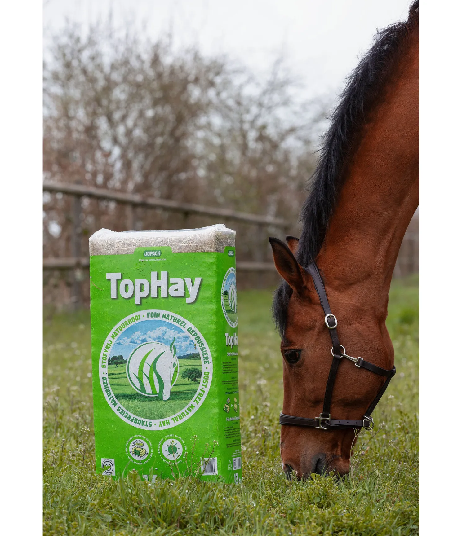 Foin TopHay
