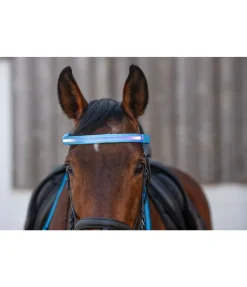 Frontal LED Loom