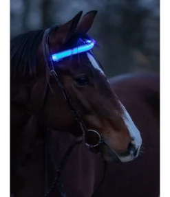 Frontal LED Loom