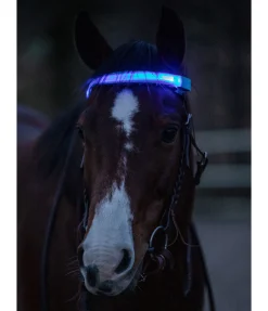 Frontal LED Loom