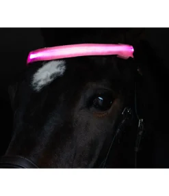 Frontal LED Loom