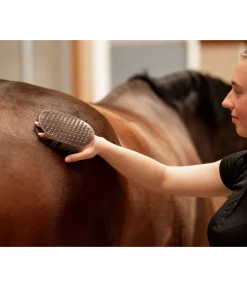 Gant de massage