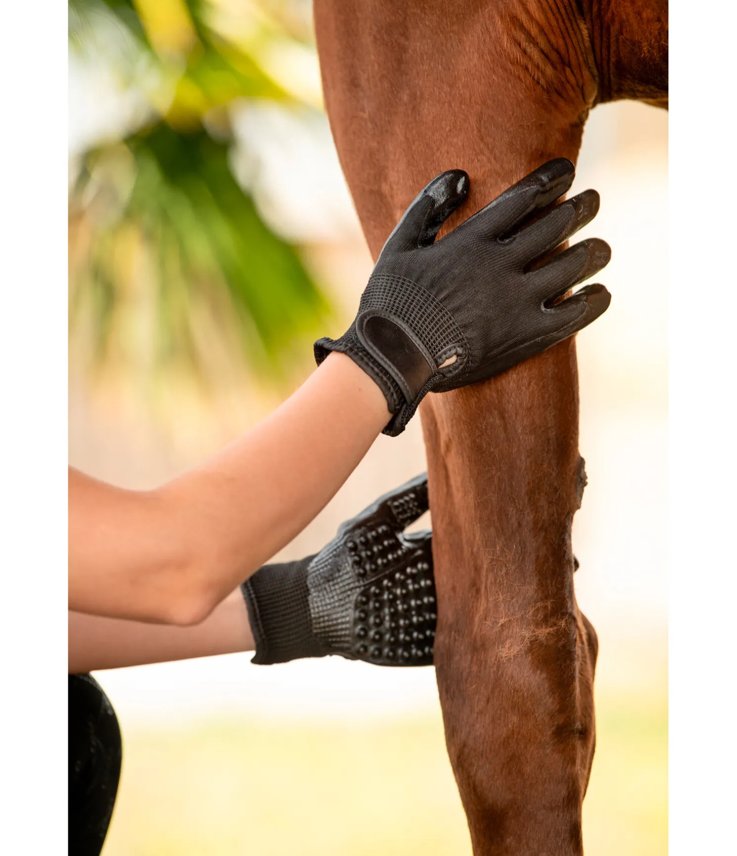 Gants de nettoyage Groomy