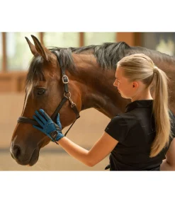 Gants d'équitation Aero