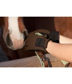 Gants d'équitation d'hiver Newport