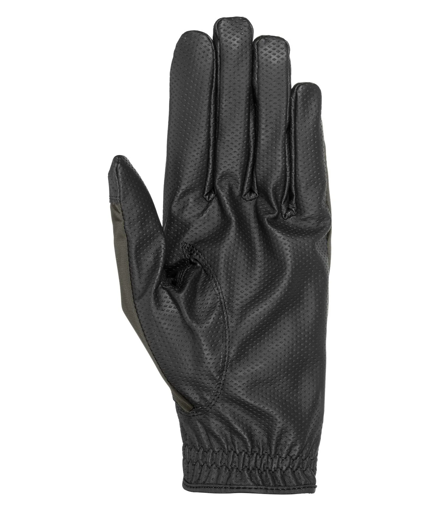 Gants d'équitation vida planet