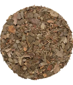 Ginkgo