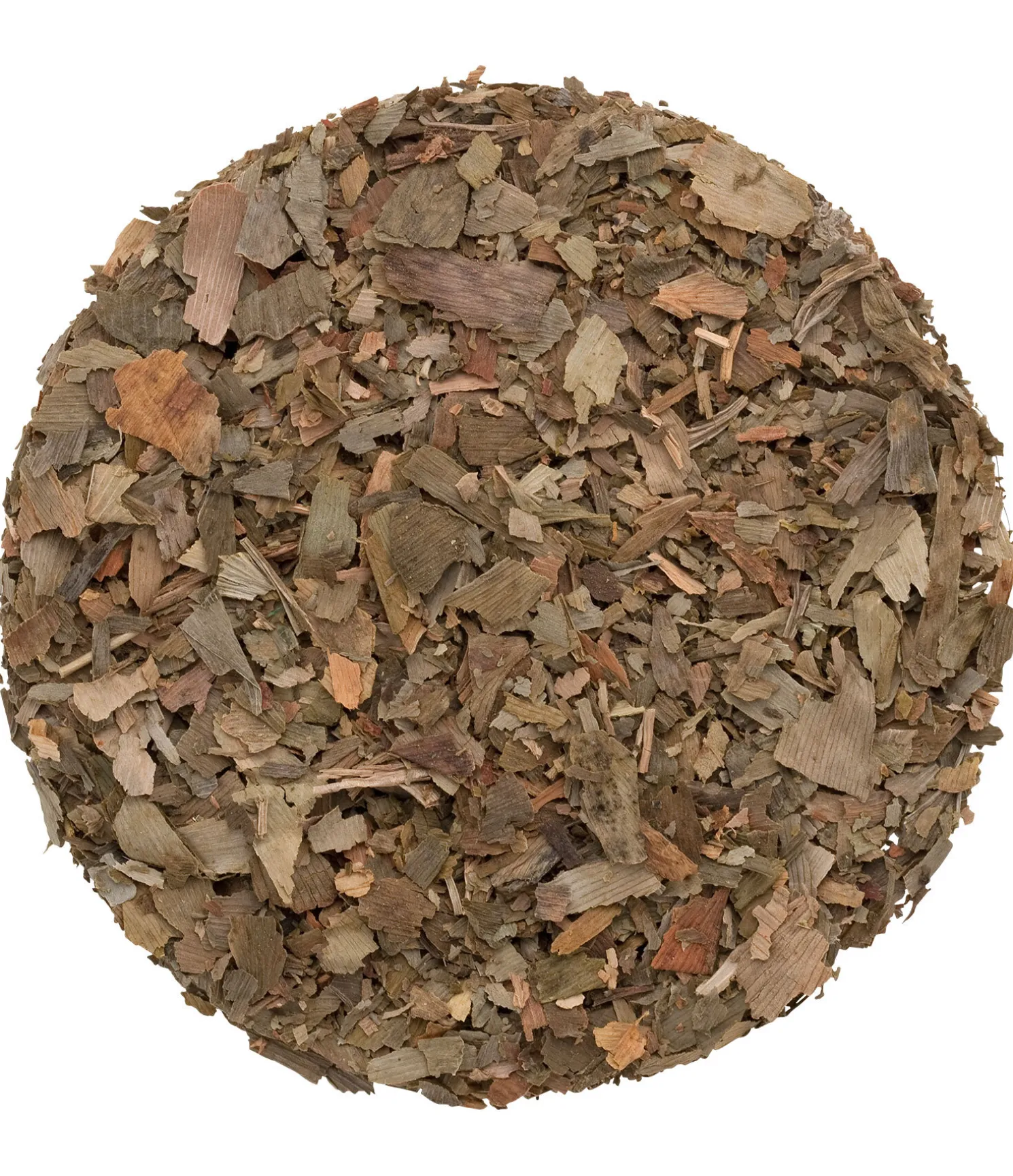 Ginkgo