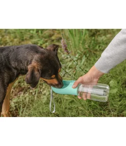 Gourde de voyage pour chien Wanderlust II
