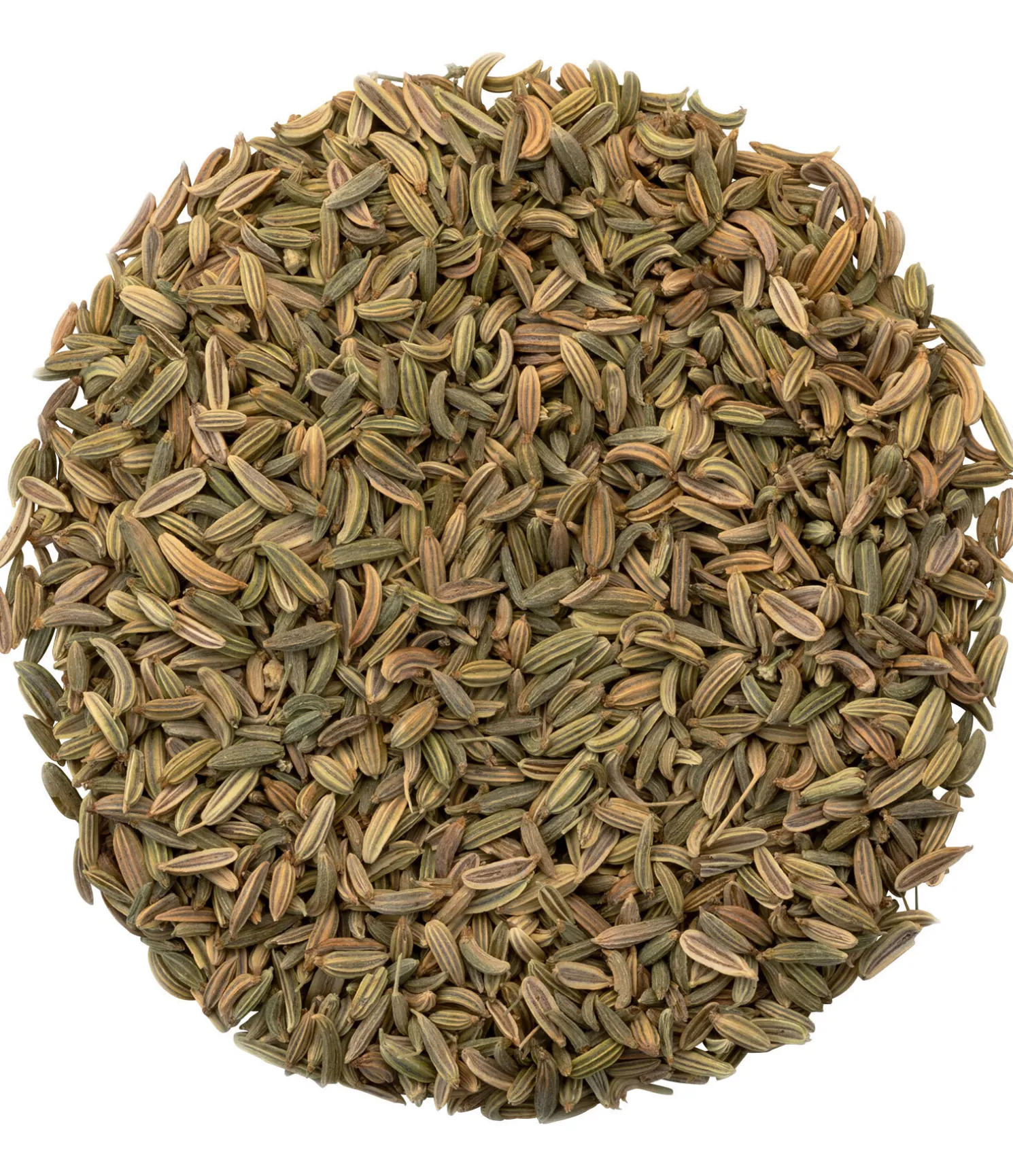 Graines de fenouil