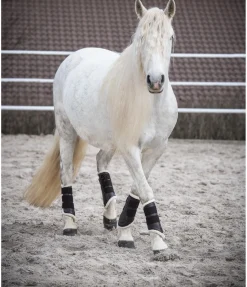 Guêtres de dressage antérieures en polaire Teddy
