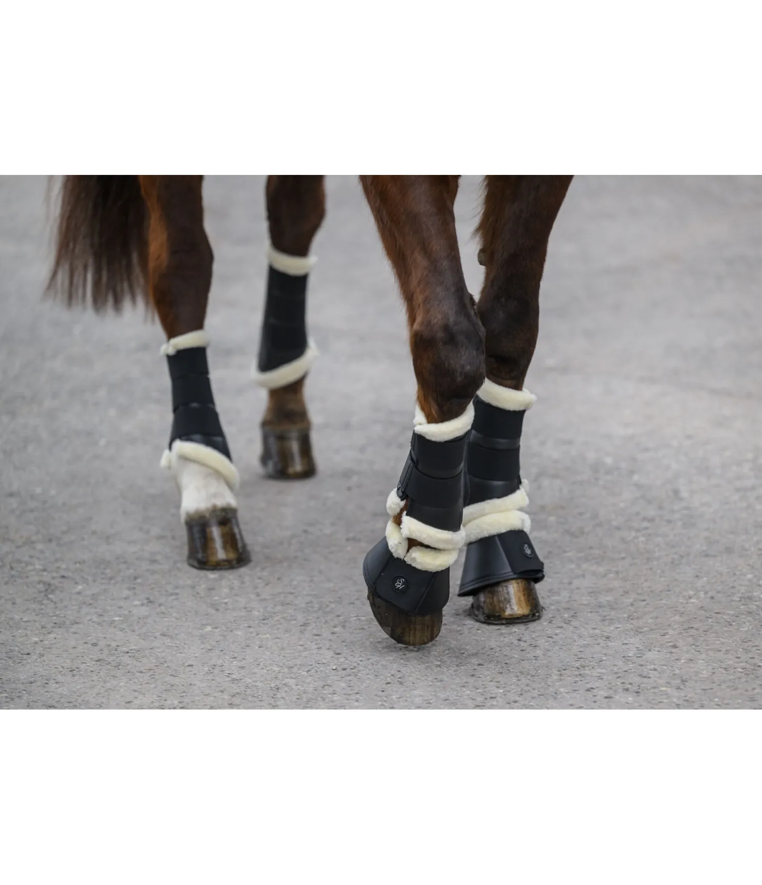 Guêtres de dressage avec polaire Teddy Classic (pour antérieurs)