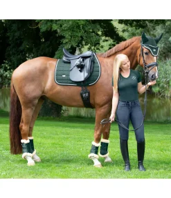 Guêtres de dressage en polaire Teddy Essential (antérieurs)