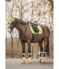 Guêtres de dressage en polaire Teddy Essential (antérieurs)