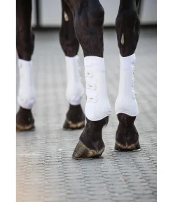 Guêtres de dressage postérieures Perfect Protection
