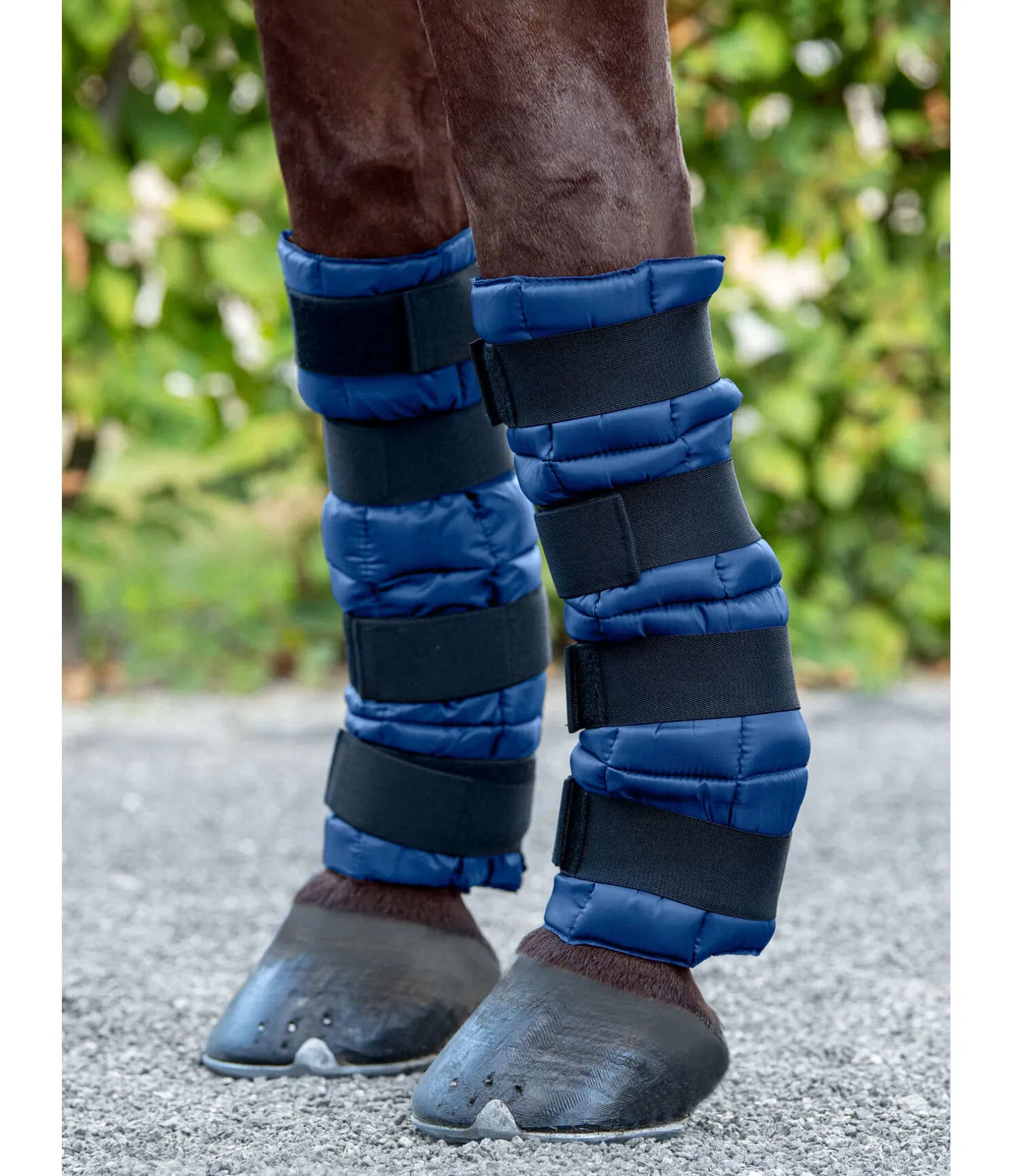 Guêtres Ice