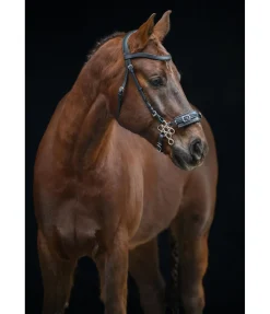Hackamore flower