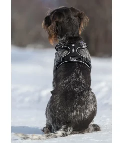 Harnais pour chien Expedition