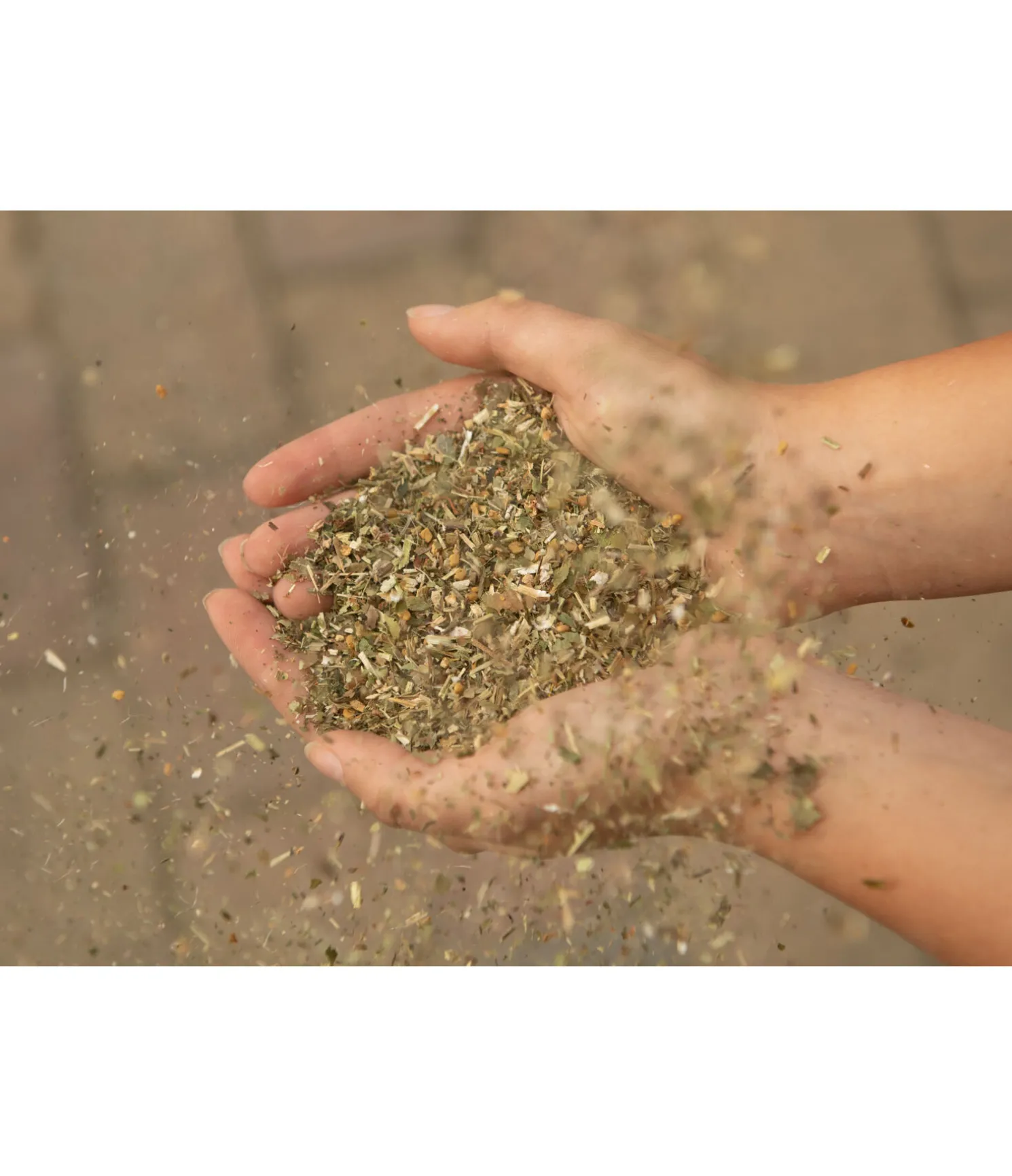 Herbes détox
