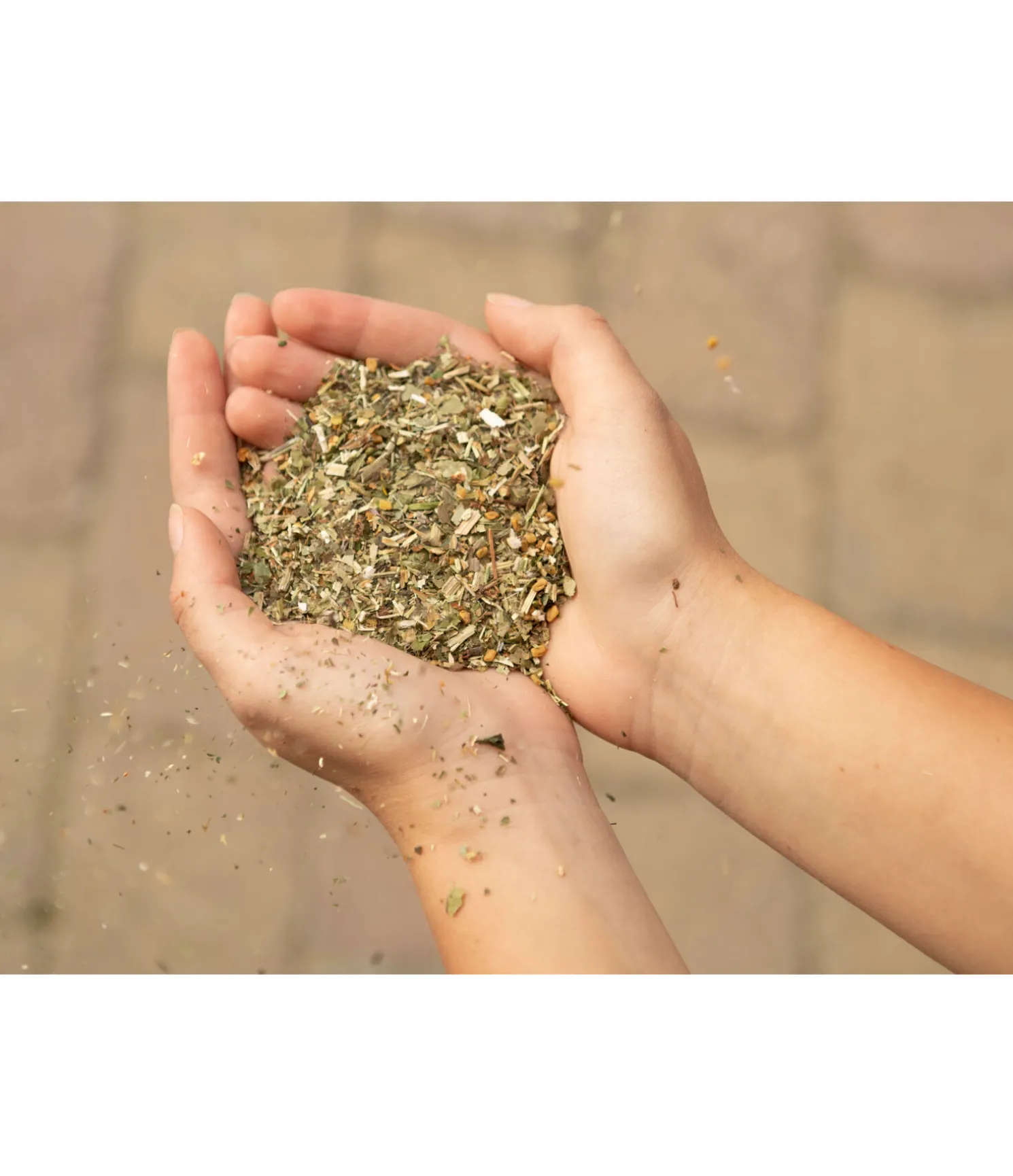 Herbes détox