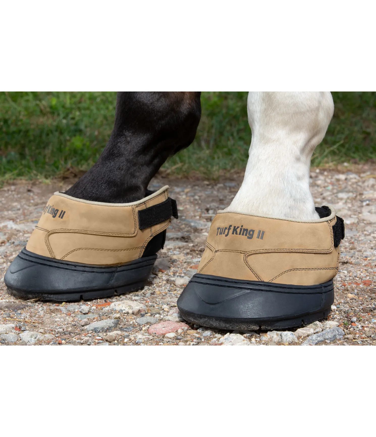 Hipposandale version II